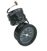 WATTS Thermomètre à Capillaire Type FTR 150